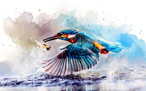 watercolor  kingfisher  bird
