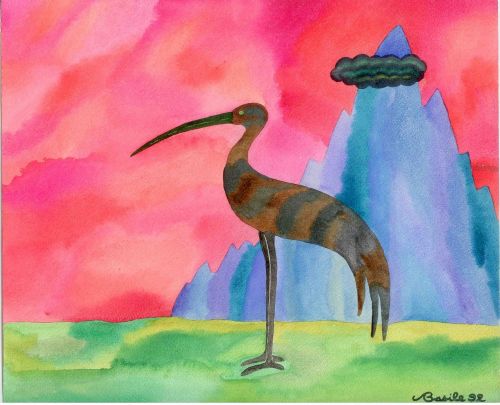 watercolor ibis painting