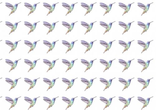 Watercolor Hummingbird Paper