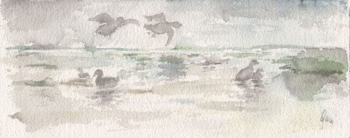 watercolour fog ducks