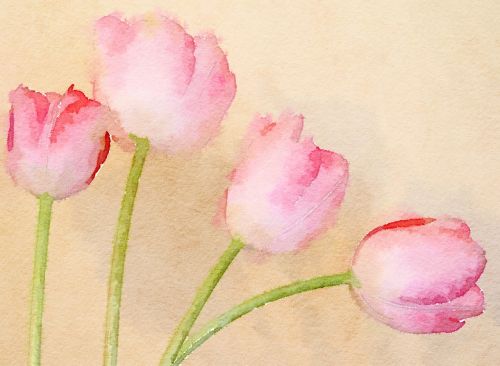 watercolour art flower