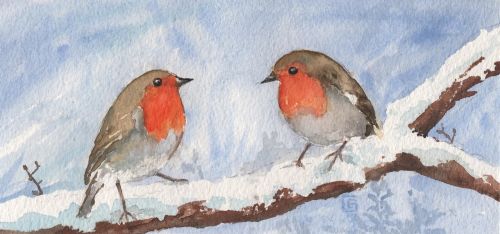 watercolour robin birds
