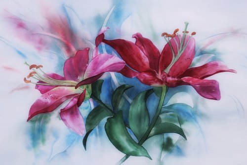 watercolour  lilies  paint
