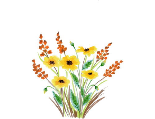 watercolour flower  floral  watercolor
