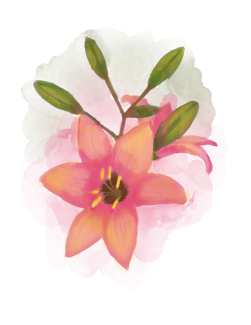 watercolour flower  bouquet  floral