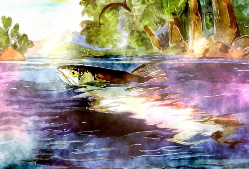 Watercolour River Fish