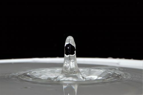waterdrops droplets water