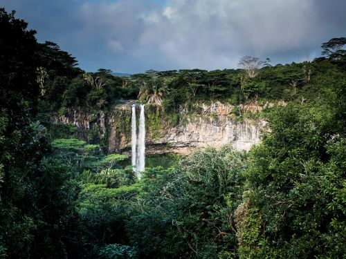 waterfall jungle cliff