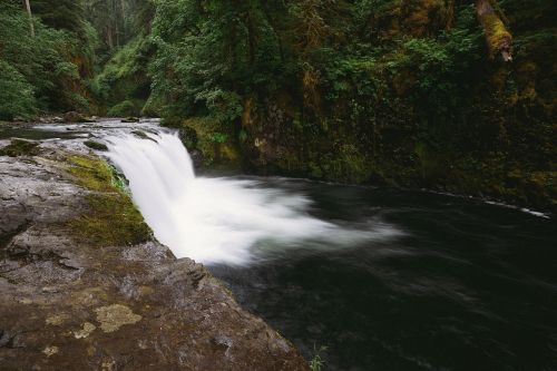 waterfall forest trees forest