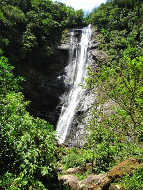 waterfall salto morato serra do mar