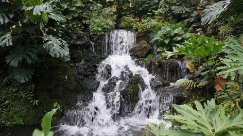 waterfall cambodia nature