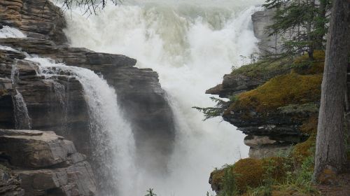 waterfall nature banff