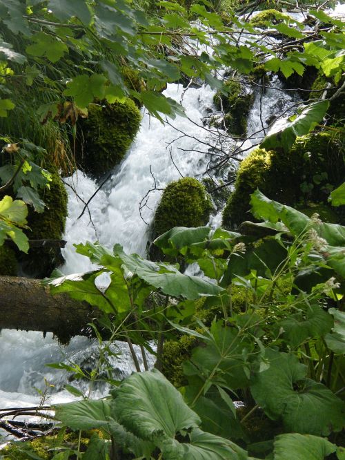 waterfall croatia plittvice
