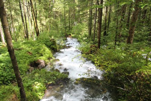 waterfall forest water