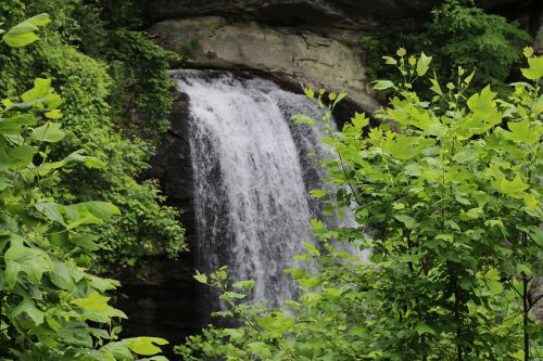 waterfall nature green