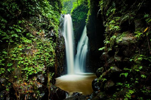 waterfall nature forest