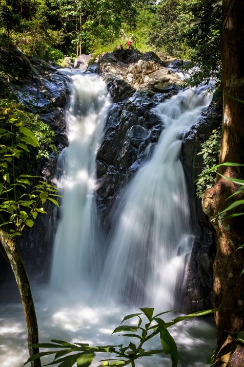 waterfall nature forest