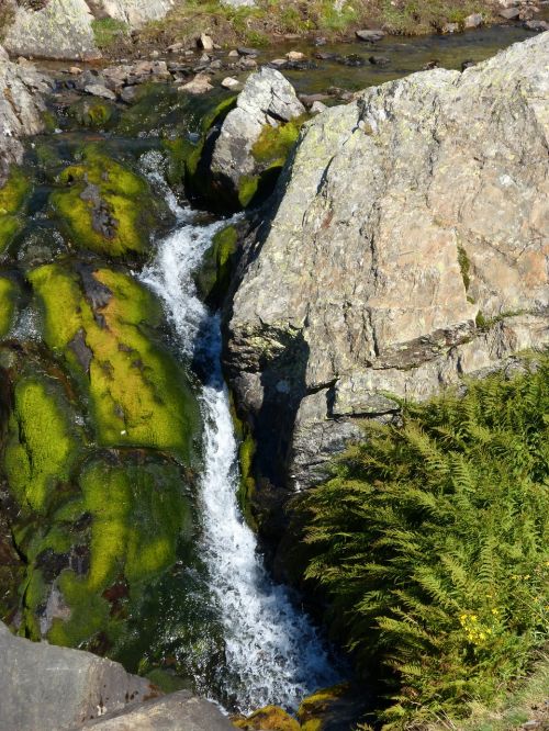 waterfall cataract moss
