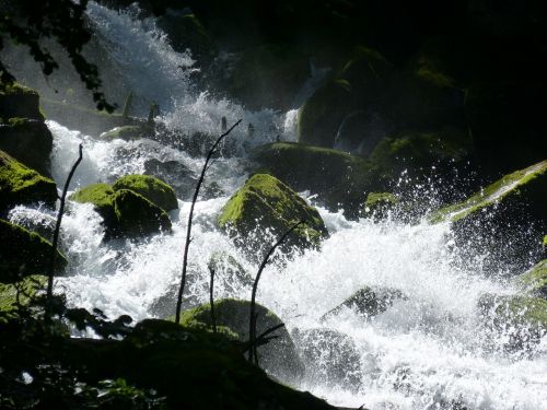 waterfall rocks moss