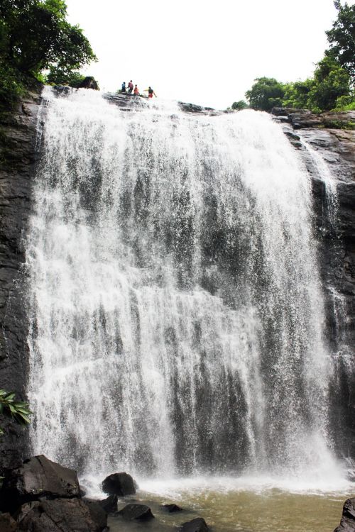 waterfall trees stone