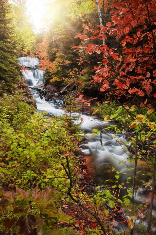 waterfall autumn fall