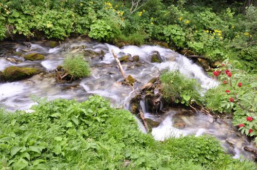 waterfall water natural water