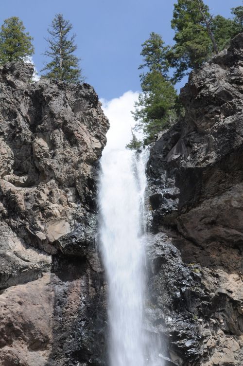 waterfall pine tree scenery