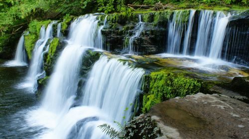 waterfall moss nature