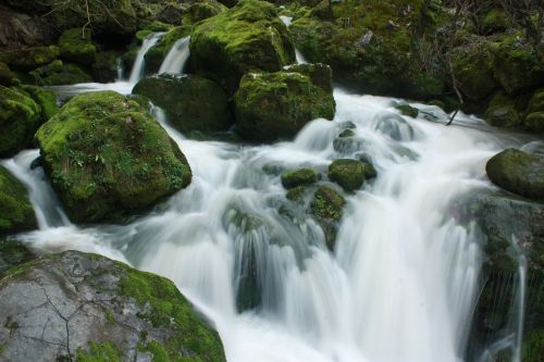 waterfall milk watter moss