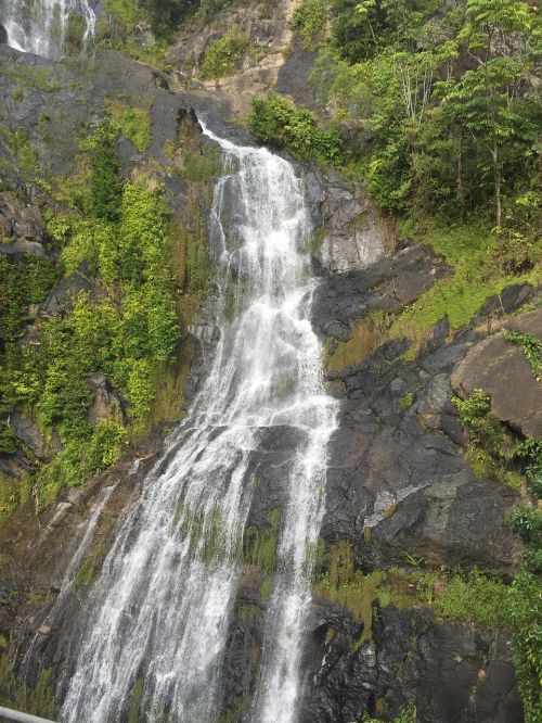 waterfall green nature