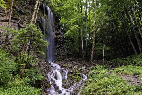 waterfall nature forest