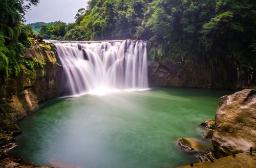 waterfall tree land