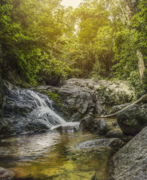 waterfall trees nature