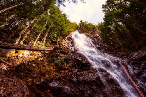 waterfall cascade forest