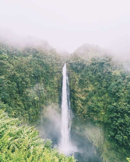 waterfall nature green