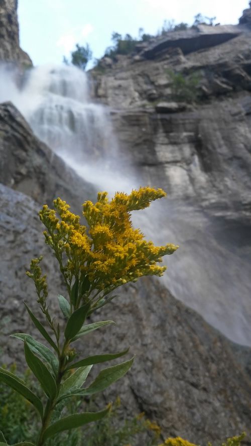 waterfall nature landscape