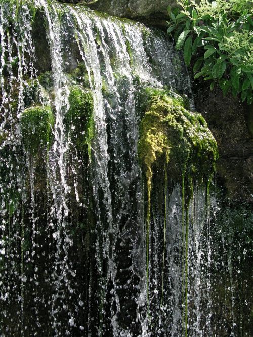 waterfall water moss