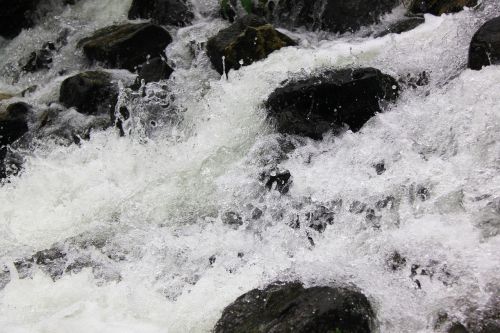 waterfall macro nature