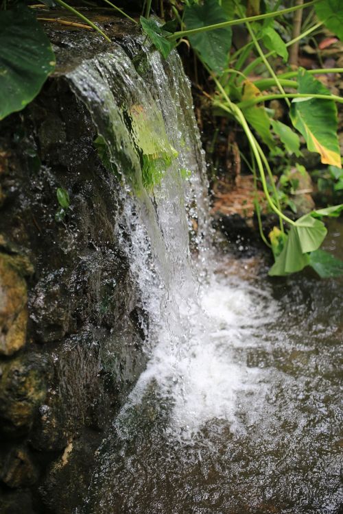 waterfall water nature