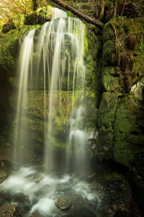 waterfall waters nature
