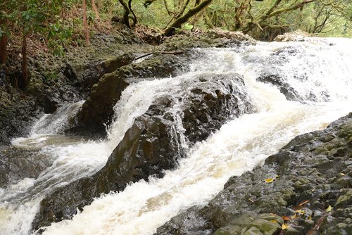 waterfall  water  cascade