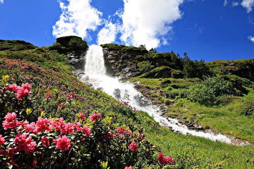 waterfall  alpine  nature