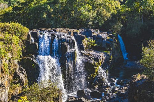 waterfall  water  jungle