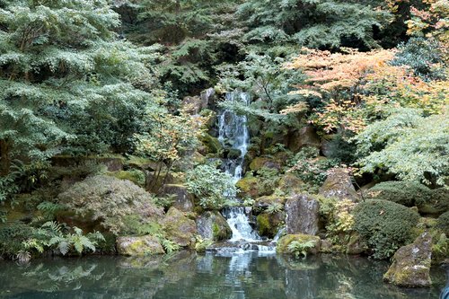 waterfall  green  nature