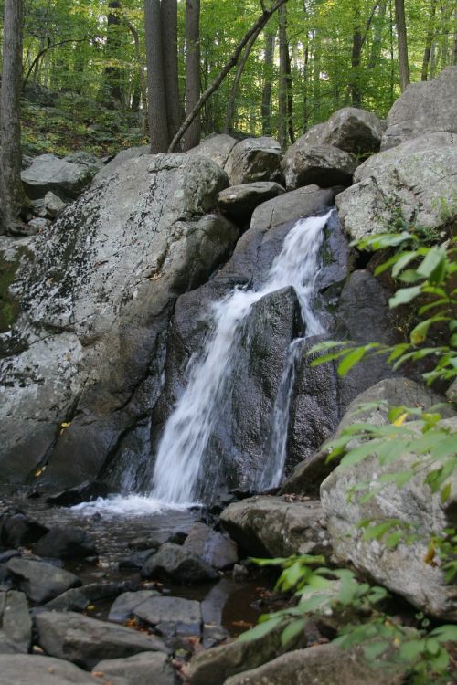 waterfall forest nature