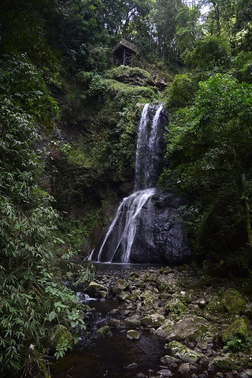 waterfall  nature  water