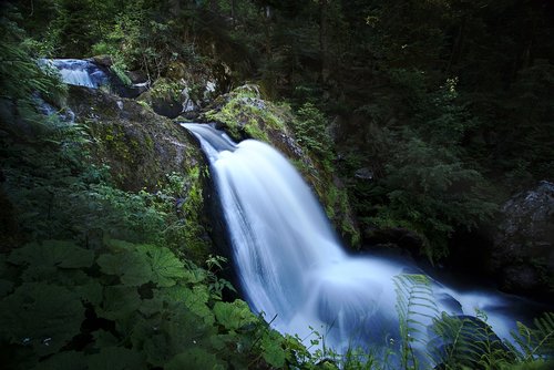waterfall  triberg  black forest