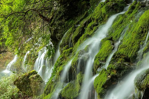 waterfall  moss  moss valley