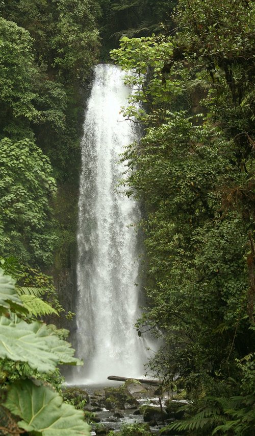 waterfall  tropical  jungle