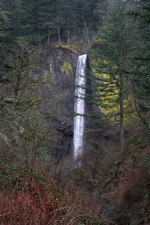 waterfall  oregon  nature